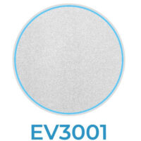 Ev2001