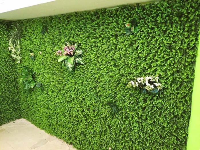 Bán Cỏ Nhân Tạo ốp Tường