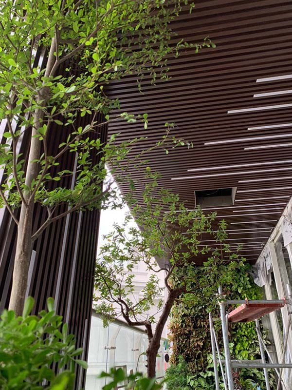 Go-nhua-ngoai-troi-tran-ban-cong-lo-gia-11