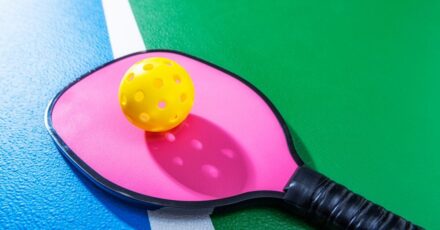 Pickleball-dunganh (1)