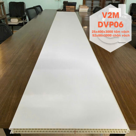 V2m-dvp06-2