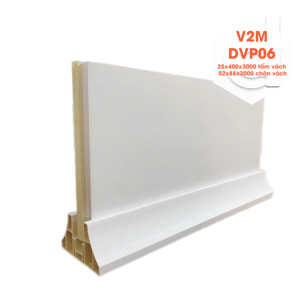 V2m-dvp06