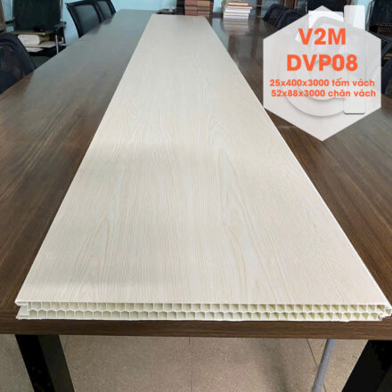 V2m-dvp08-2