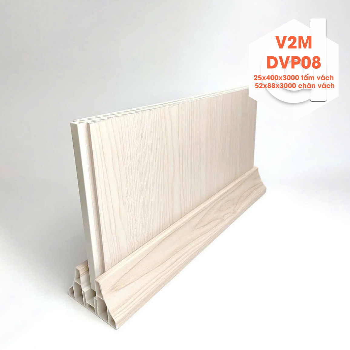 V2m-dvp08