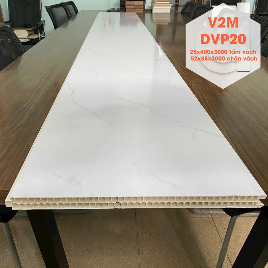 V2m-dvp20-2