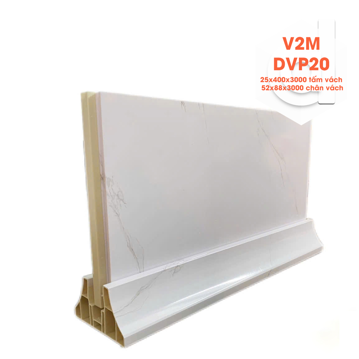 V2m-dvp20