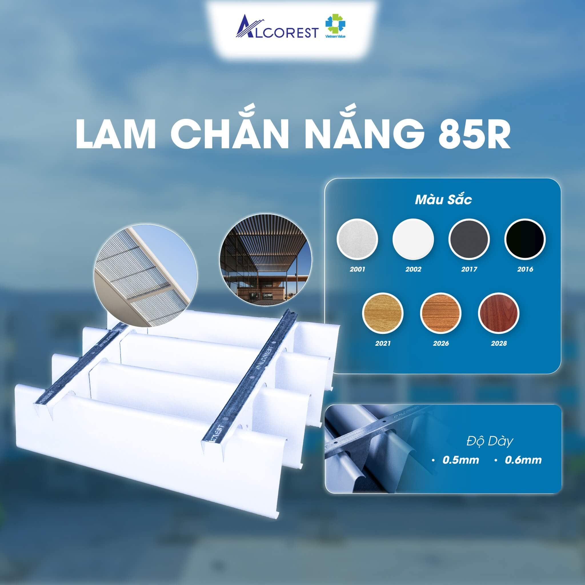 Lam Chan Nang Alcorest (2)