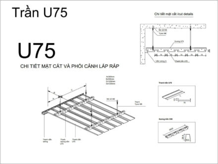 Xuong U75-3