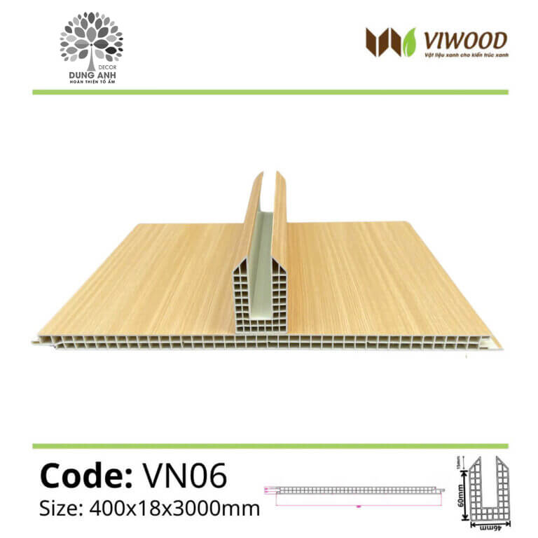 Vn06